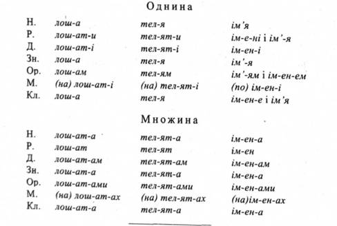Парадигмы IV отмены